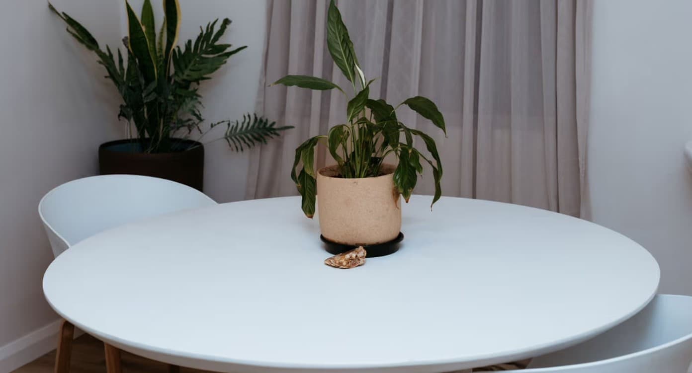 Room in West Leederville